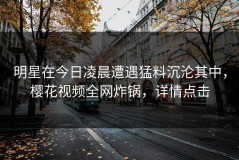 明星在今日凌晨遭遇猛料沉沦其中，樱花视频全网炸锅，详情点击