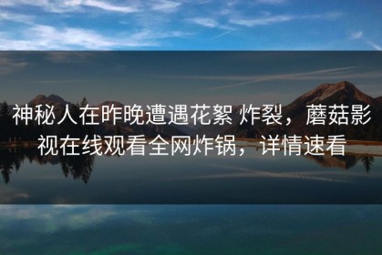 神秘人在昨晚遭遇花絮 炸裂，蘑菇影视在线观看全网炸锅，详情速看