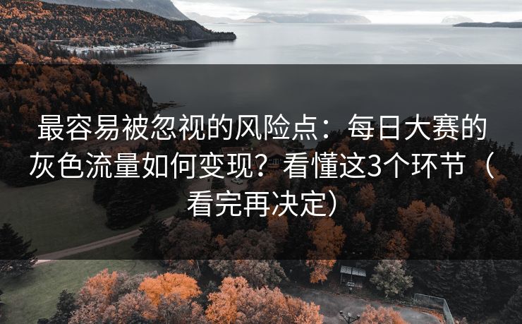 最容易被忽视的风险点:每日大赛的灰色流量如何变现?看懂这3个环节(看完再决定) 最容易被忽视的风险点:每日大赛的灰色流量如何变现?看懂这3个环节(看完再决定)