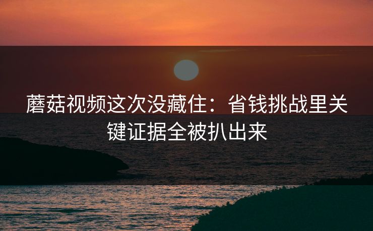 蘑菇视频这次没藏住：省钱挑战里关键证据全被扒出来