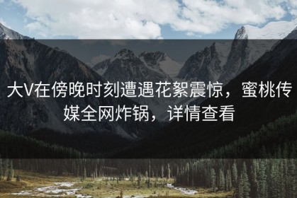 大V在傍晚时刻遭遇花絮震惊，蜜桃传媒全网炸锅，详情查看