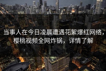 当事人在今日凌晨遭遇花絮爆红网络，樱桃视频全网炸锅，详情了解