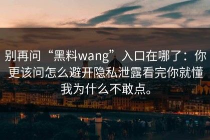 别再问“黑料wang”入口在哪了：你更该问怎么避开隐私泄露看完你就懂我为什么不敢点。