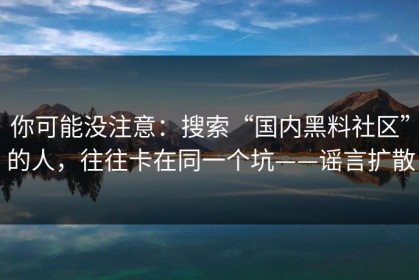 你可能没注意：搜索“国内黑料社区”的人，往往卡在同一个坑——谣言扩散