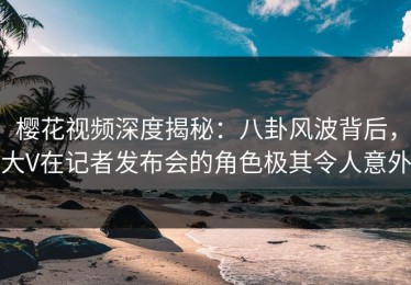 樱花视频深度揭秘：八卦风波背后，大V在记者发布会的角色极其令人意外