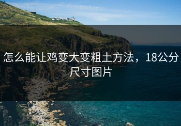 怎么能让鸡变大变粗土方法，18公分尺寸图片