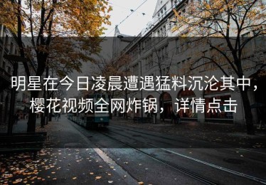 明星在今日凌晨遭遇猛料沉沦其中，樱花视频全网炸锅，详情点击