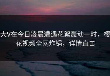 大V在今日凌晨遭遇花絮轰动一时，樱花视频全网炸锅，详情直击