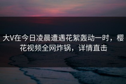 大V在今日凌晨遭遇花絮轰动一时，樱花视频全网炸锅，详情直击