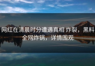 网红在清晨时分遭遇真相 炸裂，黑料全网炸锅，详情围观