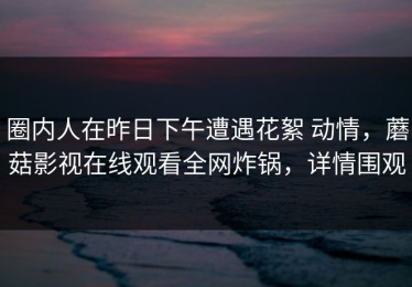 圈内人在昨日下午遭遇花絮 动情，蘑菇影视在线观看全网炸锅，详情围观
