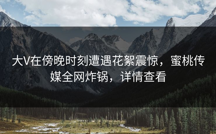 大V在傍晚时刻遭遇花絮震惊，蜜桃传媒全网炸锅，详情查看